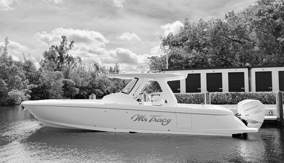 MR TRACY for sale 6