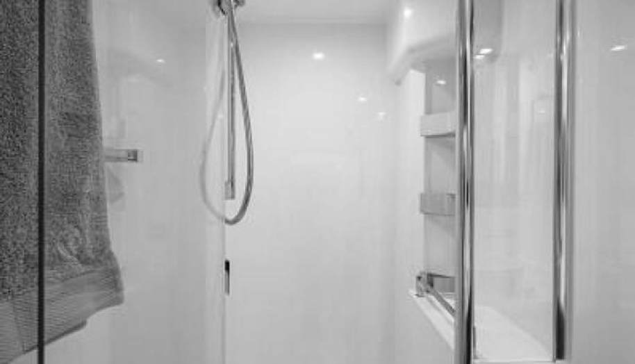 Greyhound for sale 71