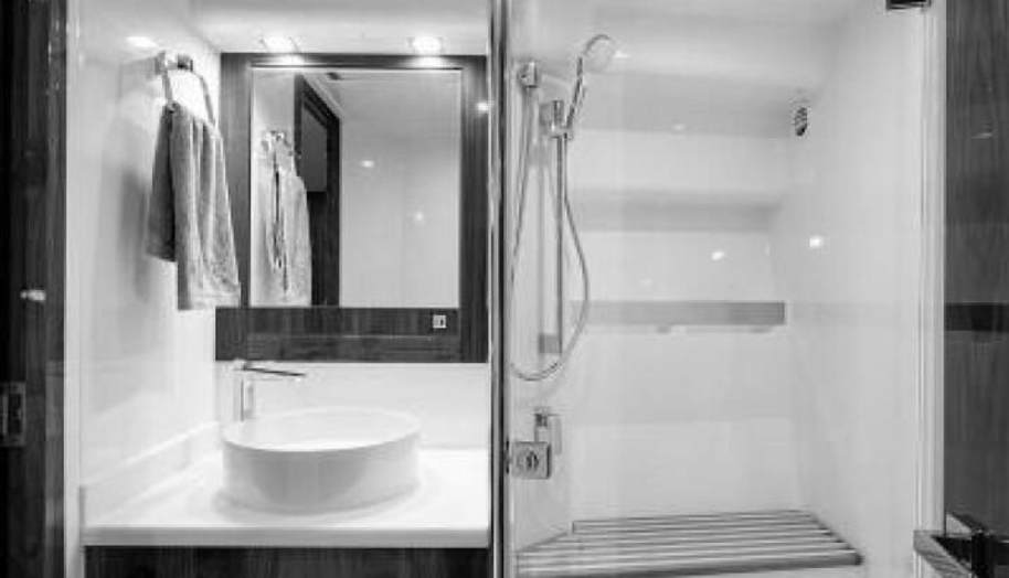 Greyhound for sale 51