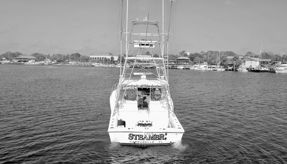 STEAMER for sale 6