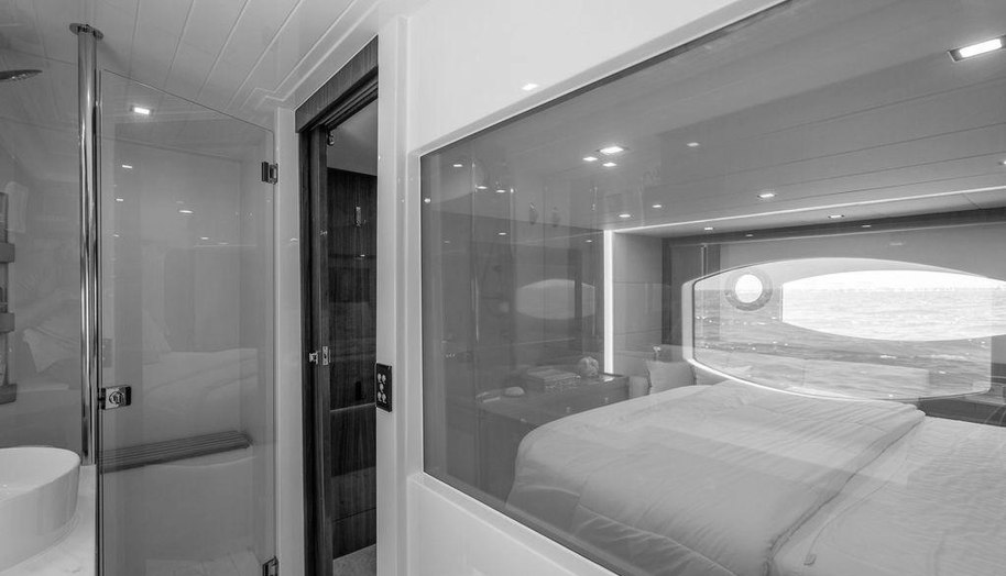 Bald Eagle for sale 66