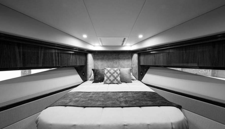 Greyhound for sale 46