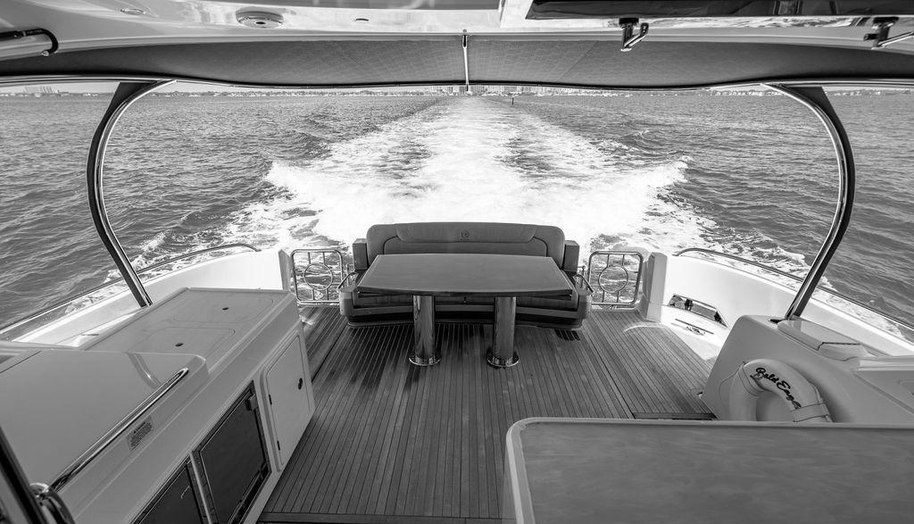 Bald Eagle for sale 16