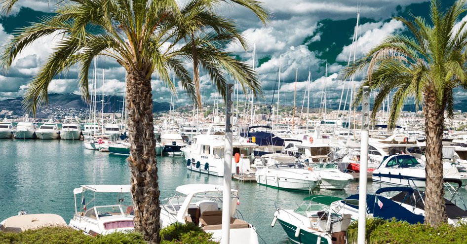 View of Cannes marina through palm trees on La Croisette. Motor yachts visible through the trees berthed in marina.