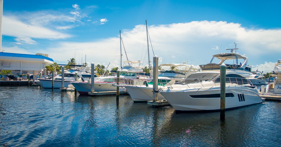 Motoryachts at anchor at FLIBS, surrounded by palms and sea