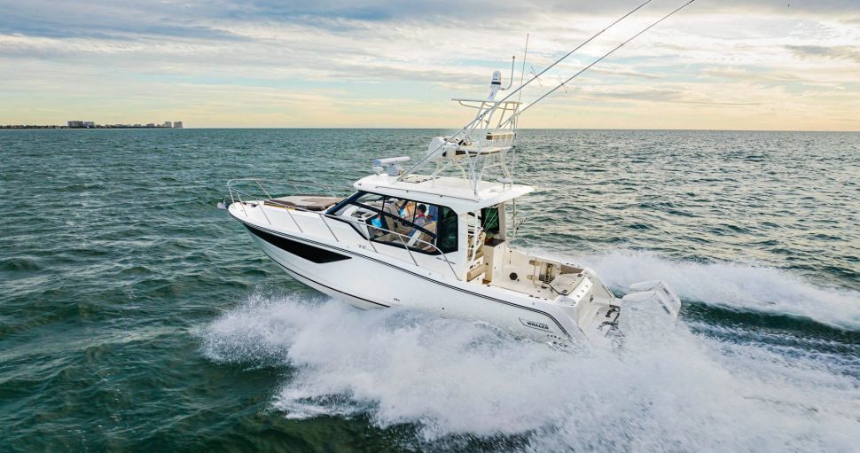                                         Boston Whaler   365 Conquest
                                    