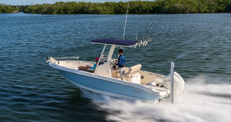                                         Boston Whaler   220 Dauntless
                                    